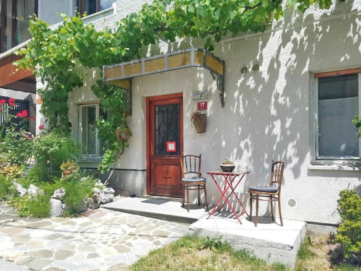 Apartma Raft, Bovec Exteriör bild